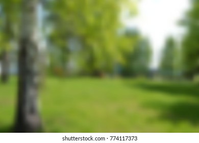 Blurred mesh background with a summer landscape with birch and other trees