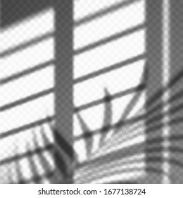 Blurred palm leaves and blinds, louvers, jalousie shadow cast. Transparent soft light and overshadow from tropical tree branch, Window frame with light reflection effect. Vector tropical wallpaper