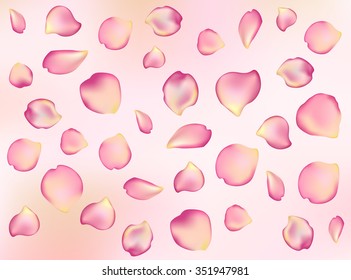 Blurred pastel background with rose flower petals.