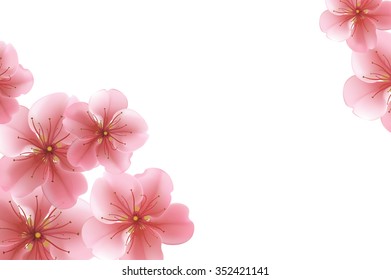 Blurred pastel background with sakura flower. Floral romantic white wallpaper. Vector illustration