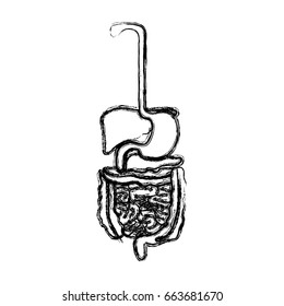 blurred realistic silhouette human digestive system vector illustration