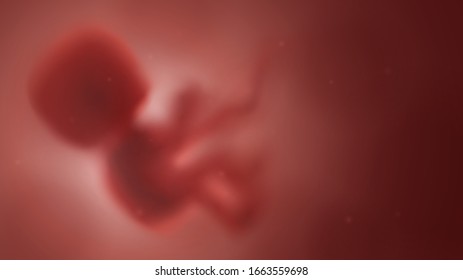 Blurred red human embryo in the womb, pregnancy and obstetrics