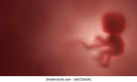 Blurred red human embryo in the womb, pregnancy and obstetrics