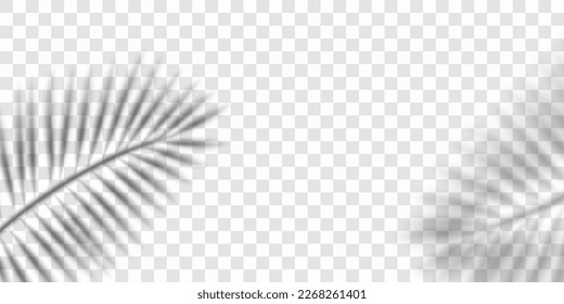 Blurred shadow of a palm leaf isolated on transparent background. Realistic vector illustration. 