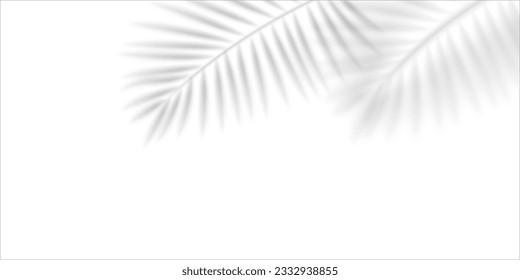 Blurred shadow of a palm leaf isolated on transparent background. Realistic vector illustration. 