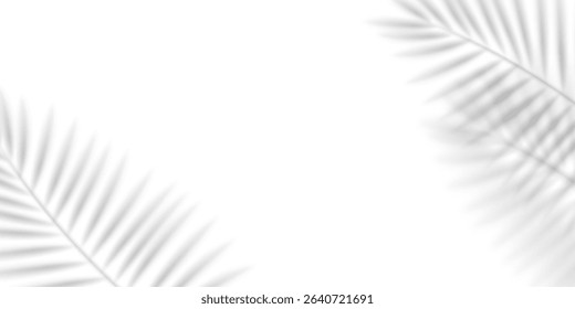 Blurred shadow of a palm leaf isolated on white background. Realistic vector illustration. 
