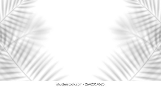 Blurred shadow of a palm leaf isolated on white background. Realistic vector illustration. 