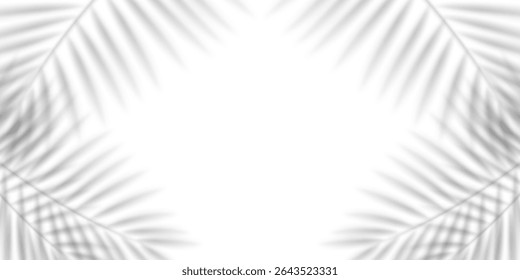 Blurred shadow of a palm leaf isolated on white background. Realistic vector illustration. 