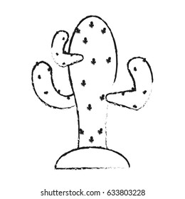 blurred silhouette cactus desert plant with thorny