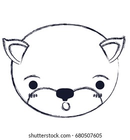 blurred silhouette cute face of kitten surprised expression vector illustration
