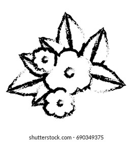 blurred silhouette of decorative bouquet with beautiful flowers ornaments vector illustration