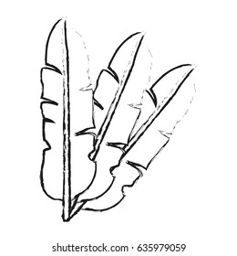 blurred silhouette image set leaves in feathers shape