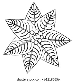 blurred sketch silhouette poinsettia christmas flowers icon design vector illustration