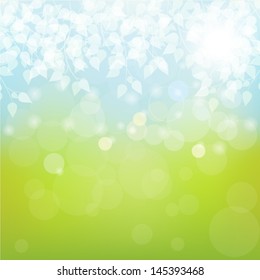 Blurred sky and grass background with shiny leaves