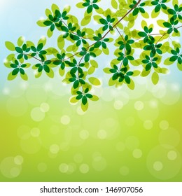 Blurred sky and grass background with transparent leaves