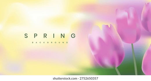 Blurred spring aesthetic flowers background with blooming tulips. Soft white, pink, green and yellow colors. Macro floral blurry landscape for cards, invitations, covers and banners.