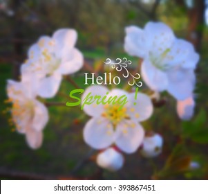 ?bstract blurred spring background with apricot flowers and place for text. Vector illustration
