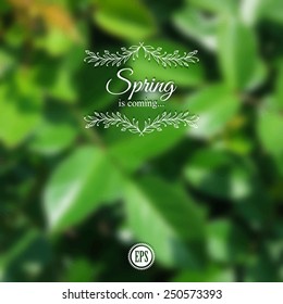 Blurred spring background with branch and green leaves. Doodle frame of natural patterns.