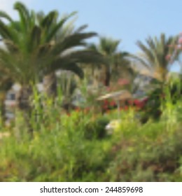 Blurred summer background with palms