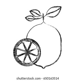 blurred thick silhouette of one lemon fruit and half lemon cut vector illustration
