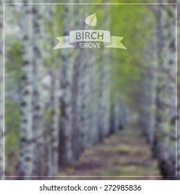 Blurred vector background - Spring Nature. Spring birch grove