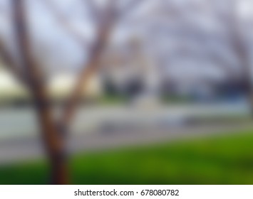 Blurred vector background. Summer autumn