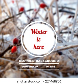 Blurred winter background