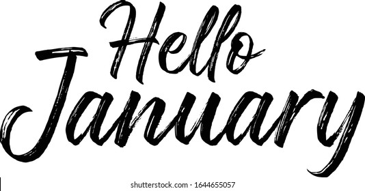 Blurred winter landscape with christmas tree 
and typographic label. Hello january