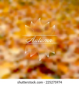 blurry autumn background