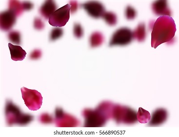Blurry background with flying pink, red rose petals. Vector illustration