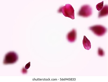 Blurry background with flying pink, red rose petals. Vector illustration 