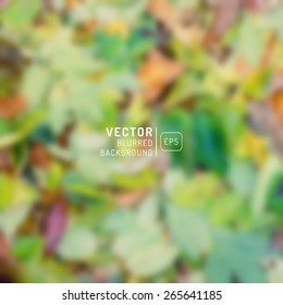 Blurry green vector leaves. Vector blurred autumn leaves. Autumn unfocused background, web and mobile interface template. Season design. Fall.