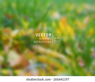 Blurry green vector leaves. Vector blurred autumn leaves. Autumn unfocused background, web and mobile interface template. Season design. Fall.