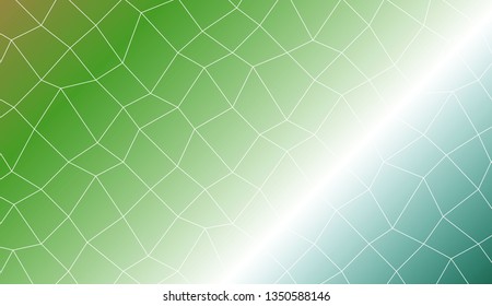 Blurry polygonal mesh texture. For wallpaper, presentation background, interior design, fashion print. Vector illustration. Creative gradient color