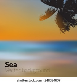 Blurry tropical beach background at sunset. Vector eps10 illustration.