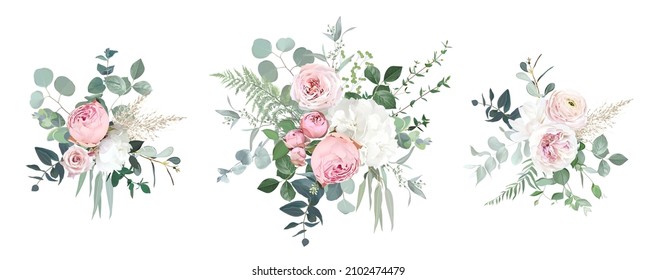 Blush pink garden roses, ranunculus, hydrangea flowers vector design bouquets