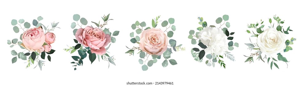 Blush pink garden roses, white hydrangea flowers, eucalyptus vector design bouquets. Wedding floral greenery. Mint, pink, beige, green tones. Watercolor flowers. Summer style. Elements are isolated