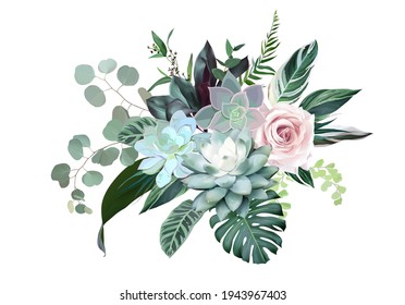 rosa rosa rosa rosa rubí, equéveria azul suculenta, flores polvorientas, eucalipto, calatea, vegetación, hojas tropicales, ramo de diseño vectorial monstera. Flor de boda exótica. Estilo isla. Aislado y editable