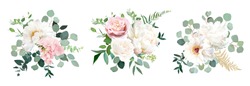 Blush Pink Rose And Sage Greenery, Ivory Peony, Hydrangea, Ranunculus Flowers, Eucalyptus Vector Floral Bunches. Floral Pastel Watercolor Style Wedding Bouquets. All Elements Are Isolated And Editable
