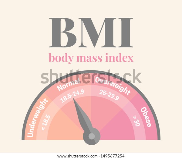 Bmi Body Mass Index Feminine Pink Stock Vector Royalty Free