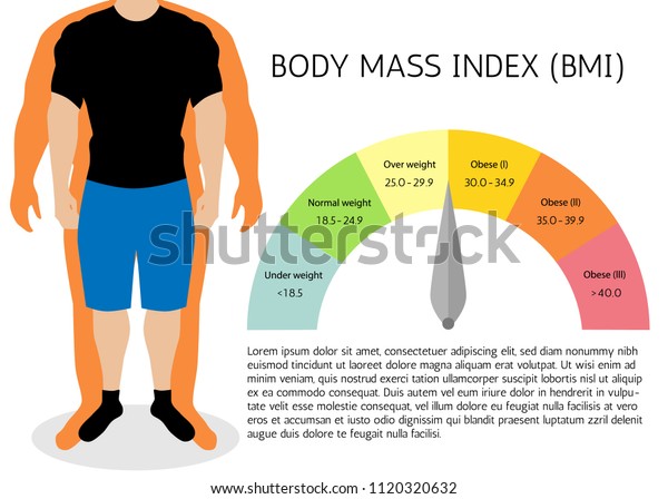 Bmi Body Mass Index Infographic Chartvector Stock Vector Royalty Free 1120320632 5497