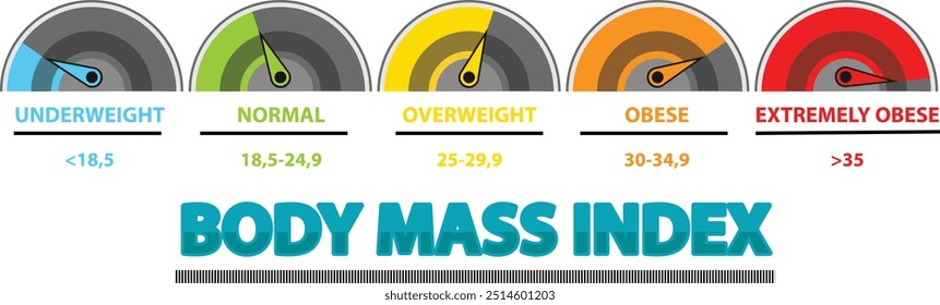 IMC o medidor del índice de masa corporal. Ilustración vectorial. Control de peso. Medidor de peso bajo, normal, sobrepeso y obesidad. Escala del IMC