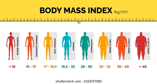 BMI classification chart measurement man colorful infographic with ruler. Male Body Mass Index scale collection from underweight to overweight fit. Person different weight level. Vector illustration