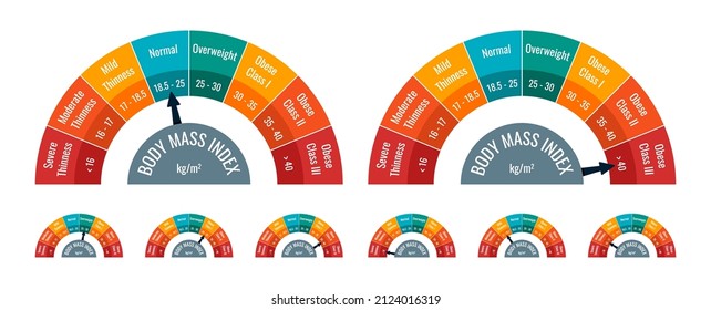 BMI Classification Chart Measurement Set. Body Mass Index Infographic With Weight Status From Underweight To Severely Obese. Medical Body Mass Control Graph. Vector Eps Illustration