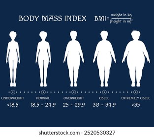 Concepto de IMC. Formas corporales de bajo peso a extremadamente obesas. Pérdida de peso. Siluetas con diferentes grados de obesidad. Los iconos humanos muestran el proceso de perder peso. Etapas de adelgazamiento. Vector EPS8