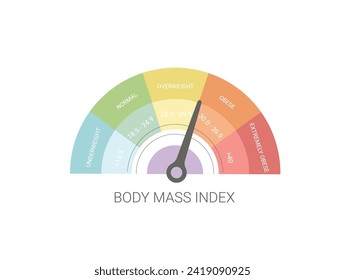 BMI infographic. Body mass index. Chart indicator. Weight control. Vector flat illustration.