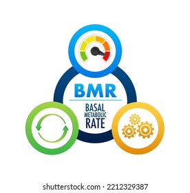 BMR - Basal Metabolic Rate acronym. Vector stock illustration.