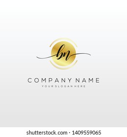BN handwriting initial logo template vector.