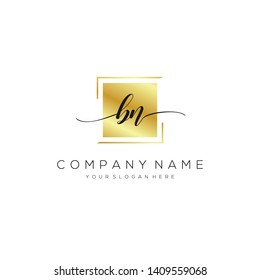 BN handwriting initial logo template vector.