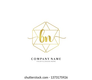 BN initial handwriting logo geometric template vector